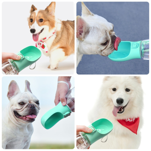 Outdoor Pet Water Bottle β Travel Feeder & Water Dispenser for Dogs & Cats (350ml / 550ml)