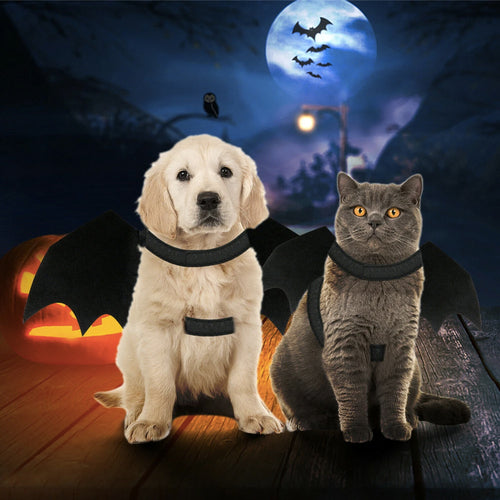 Halloween Bat Wings Pet Costume — Cute Dress-Up for Cats & Dogs