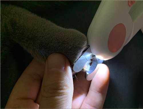 LED Pet Nail Clipper & Trimmer — Built-in Light for Safe At-Home Grooming