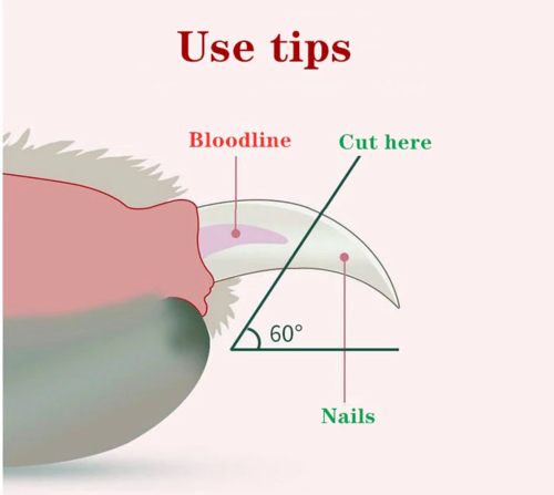 LED Pet Nail Clipper & Trimmer — Built-in Light for Safe At-Home Grooming